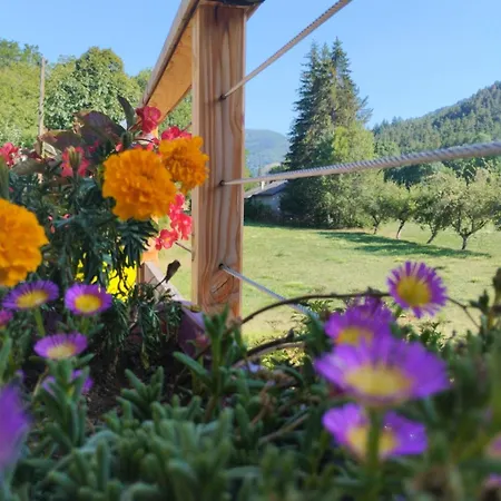 Holiday home Maison Carree - Domaine Du Vieux Tilleul