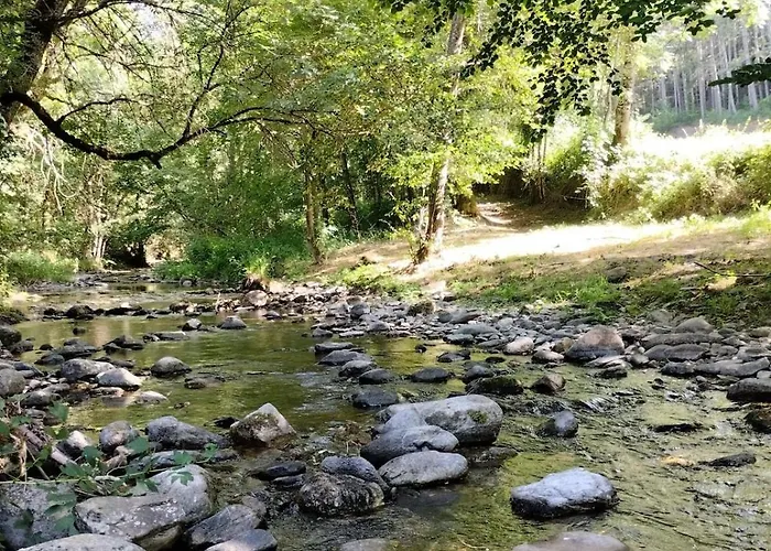 Hébergement de vacances Maison Carrée - Domaine Du Vieux Tilleul *