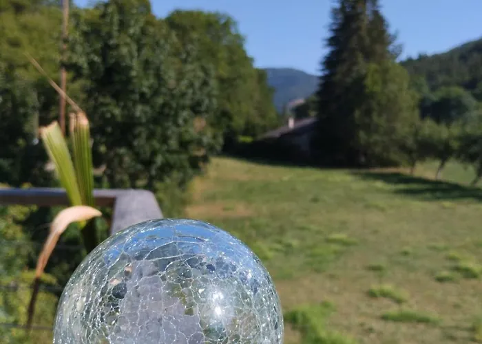 Hébergement de vacances Maison Carrée - Domaine Du Vieux Tilleul *