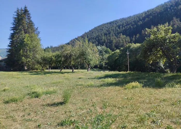 Hébergement de vacances Maison Carrée - Domaine Du Vieux Tilleul *